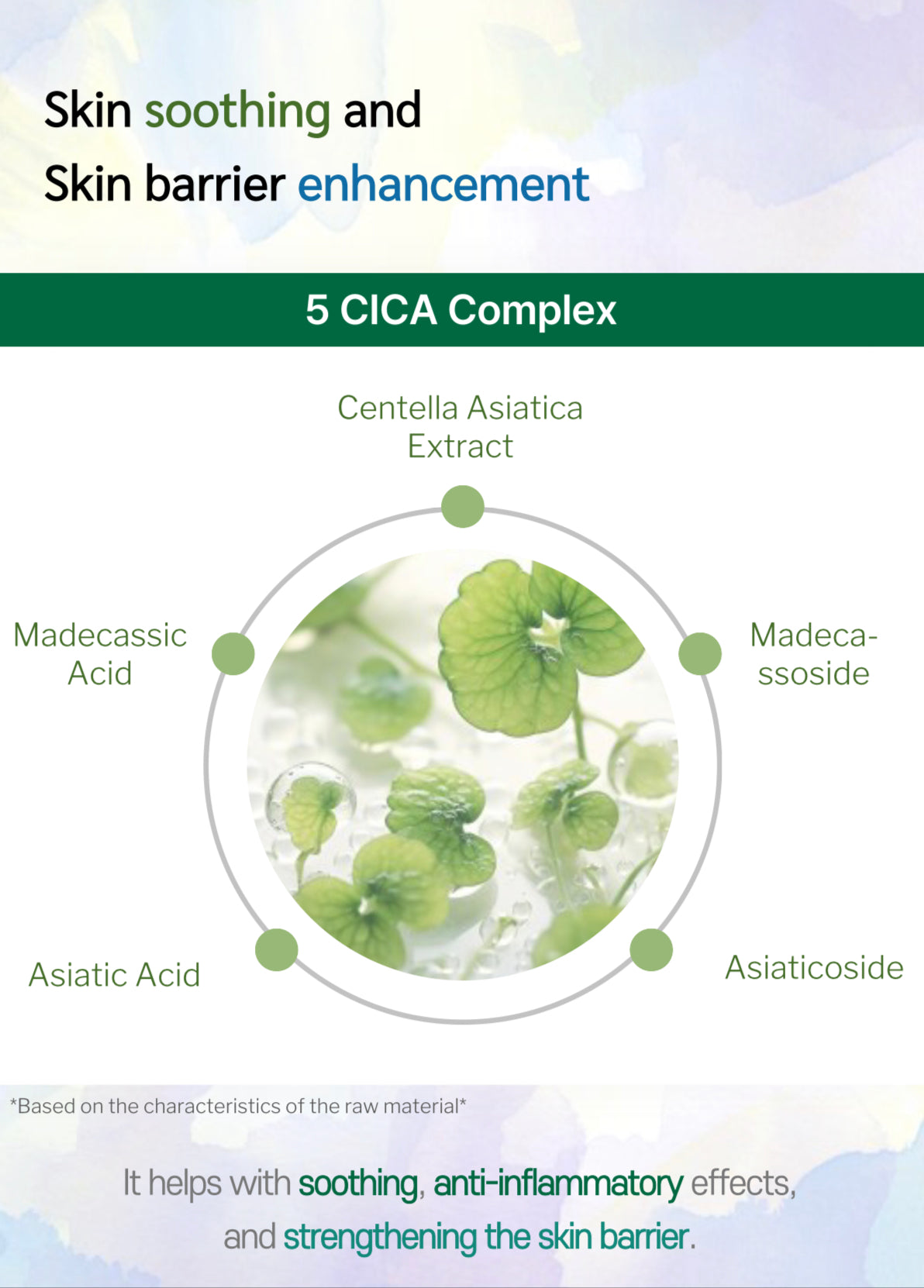 All Day Dewy Ampule 50ml