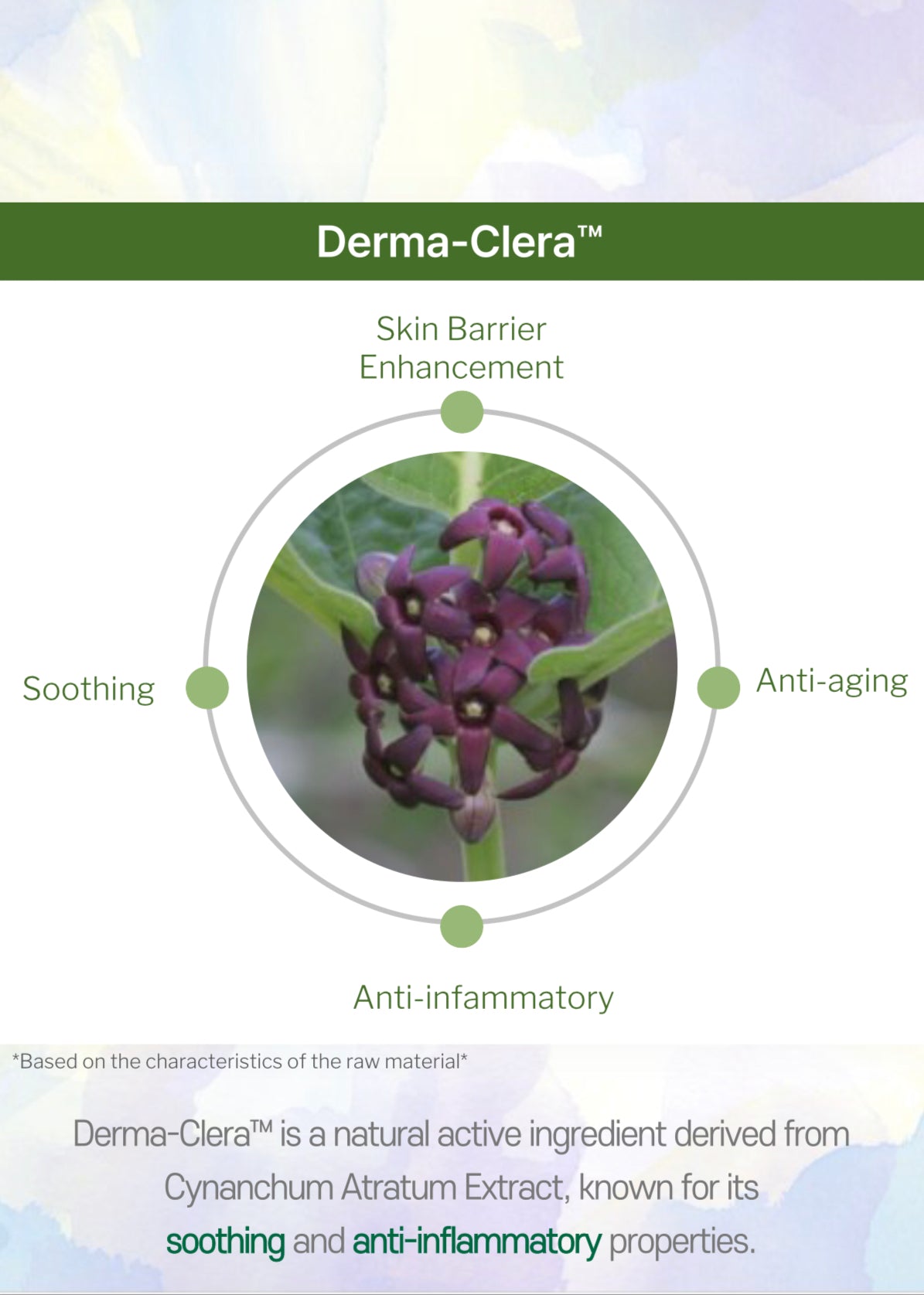 All Day Dewy Ampule 50ml