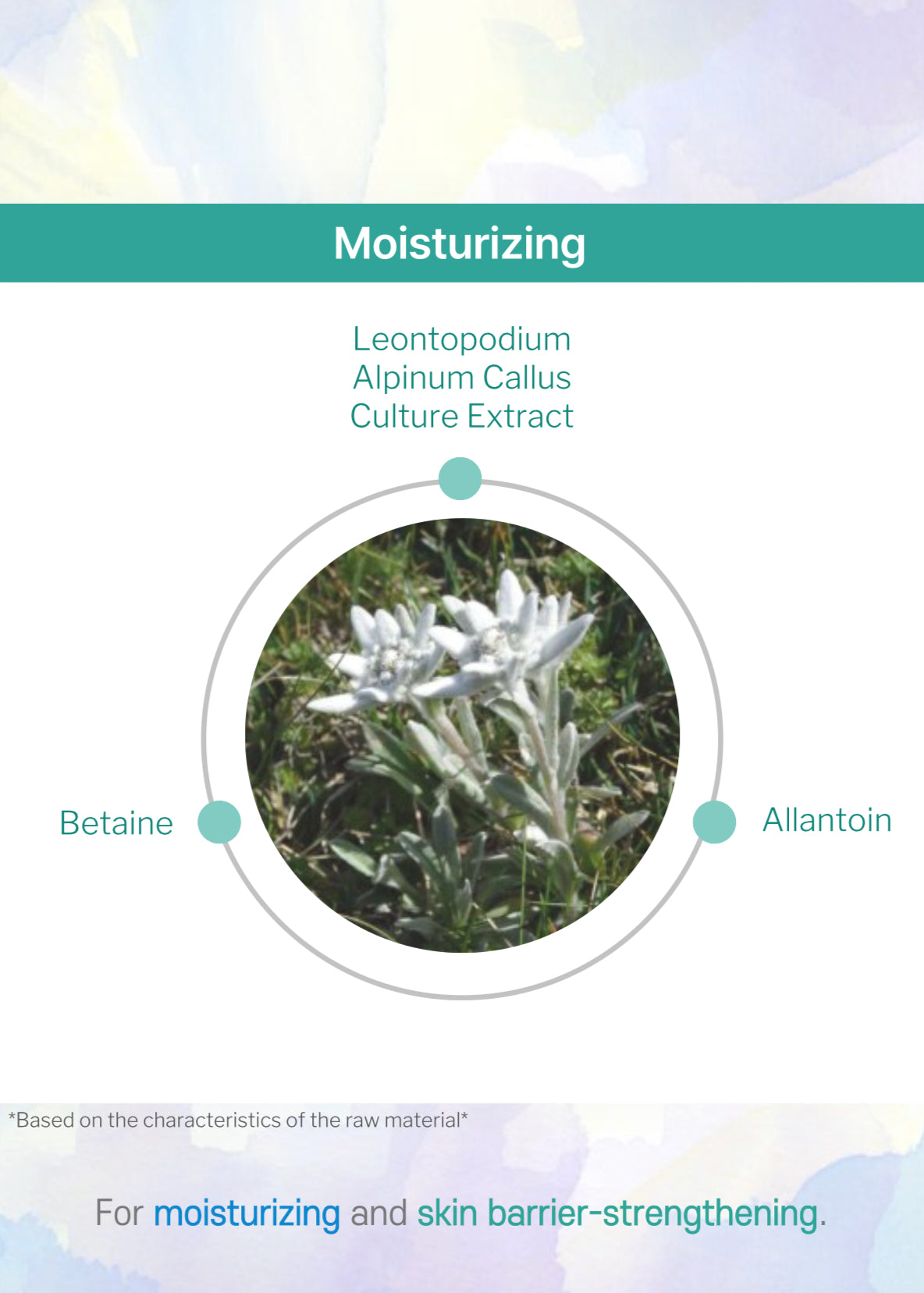 All Day Dewy Ampule 50ml