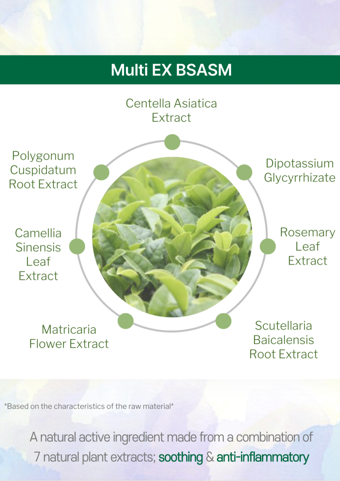 All Day Dewy Ampule 50ml